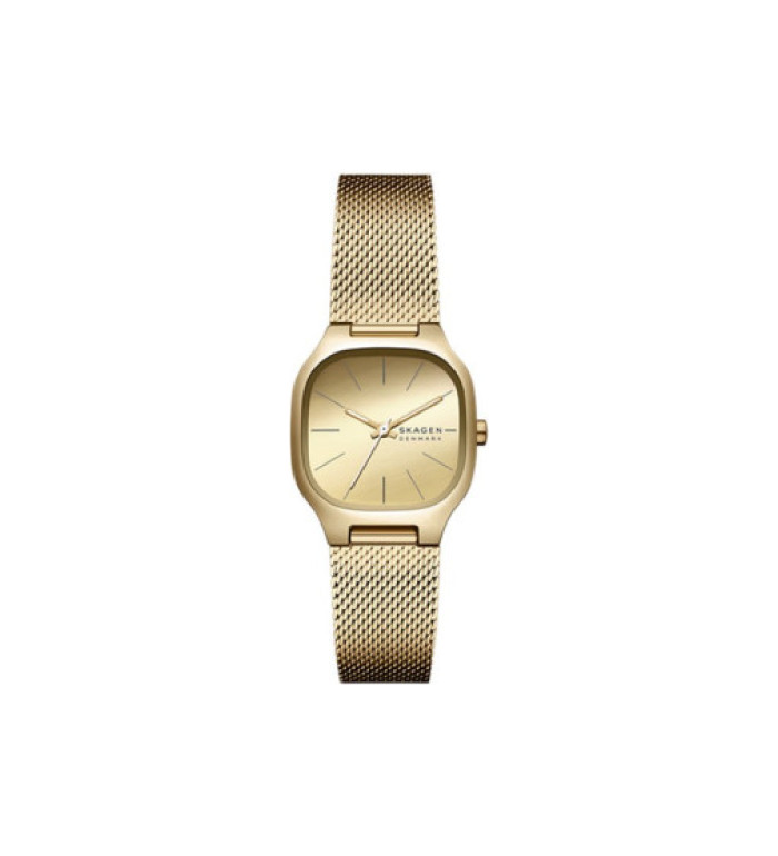 Skagen SKW3164