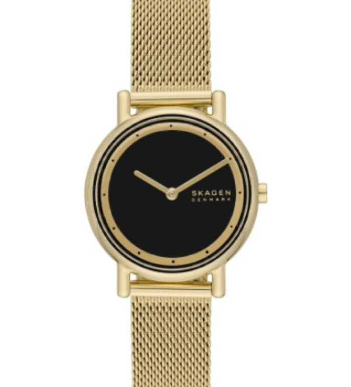 Skagen SKW3111
